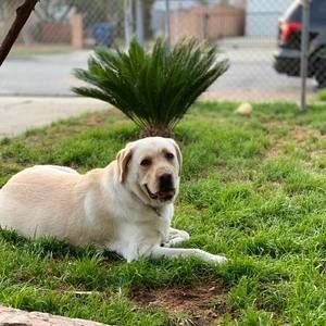 Meet your Posher, Veronica